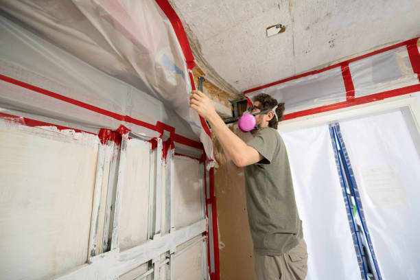 Best Airborne Mold Testing  in Pine Brook, NJ