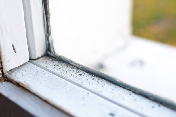 Best Indoor Air Quality Assessment  in Pine Brook, NJ