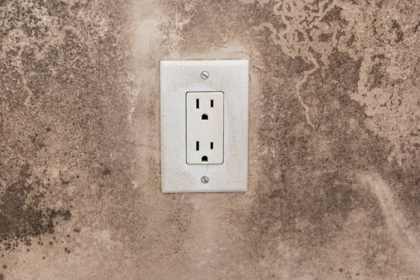 Best Real Estate Mold Inspection  in Pine Brook, NJ