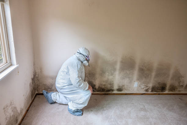 Best Residential Mold Inspection & Testing  in Pine Brook, NJ